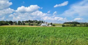 Unique Places to Stay in Lancaster, PA