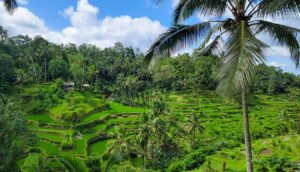 How to Plan a Relaxing & Luxurious Babymoon in Bali