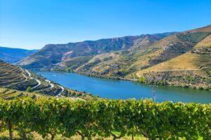 How to Plan a Trip to the Douro Valley