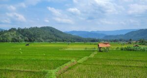 Riding the Train in Java What you Need to Know