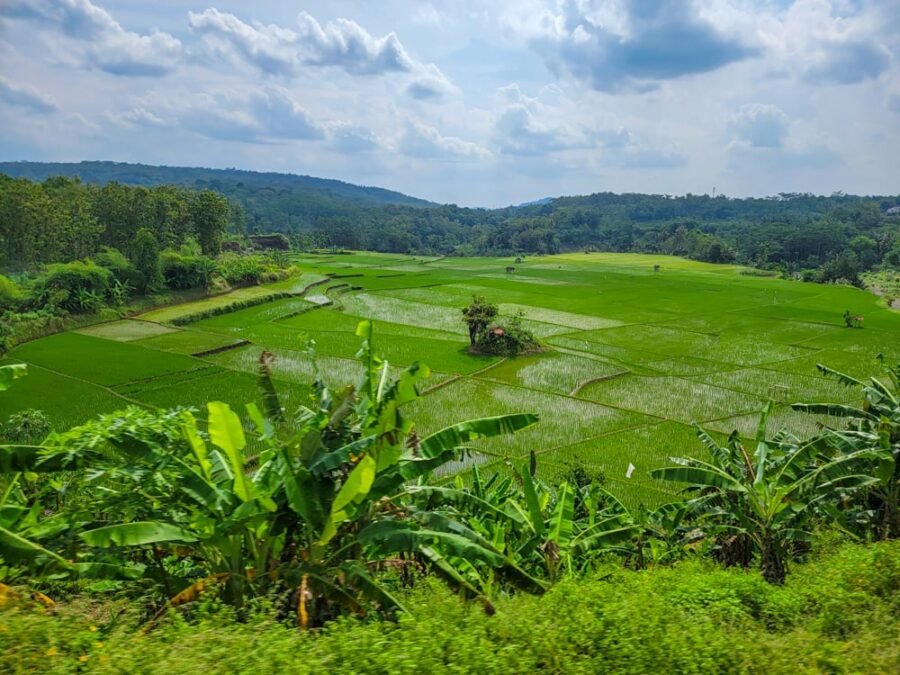 Riding the Train in Java: What You Need to Know - Becky Exploring