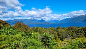How to Plan an Epic Trip to New Zealand Fiordland